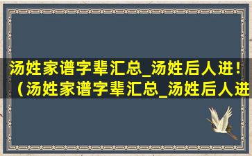 汤姓家谱字辈汇总_汤姓后人进！（汤姓家谱字辈汇总_汤姓后人进!）