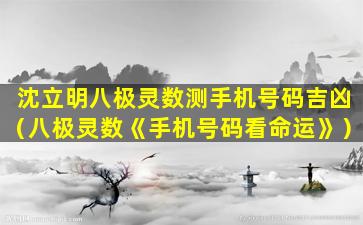 沈立明八极灵数测手机号码吉凶（八极灵数《手机号码看命运》）