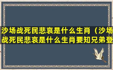 沙场战死民悲哀是什么生肖（沙场战死民悲哀是什么生肖要知兄弟登高处）