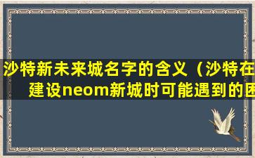 沙特新未来城名字的含义（沙特在建设neom新城时可能遇到的困难）