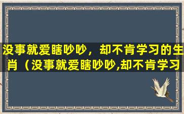 没事就爱瞎吵吵，却不肯学习的生肖（没事就爱瞎吵吵,却不肯学习的生肖）