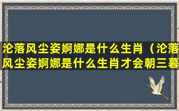 沦落风尘姿婀娜是什么生肖（沦落风尘姿婀娜是什么生肖才会朝三暮四）