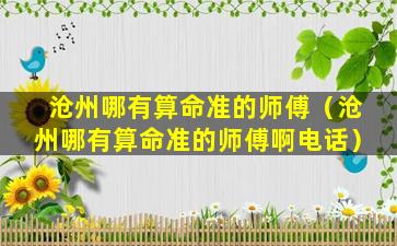 沧州哪有算命准的师傅（沧州哪有算命准的师傅啊电话）