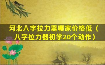 河北八字拉力器哪家价格低（八字拉力器初学20个动作）