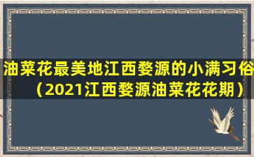 油菜花最美地江西婺源的小满习俗（2021江西婺源油菜花花期）