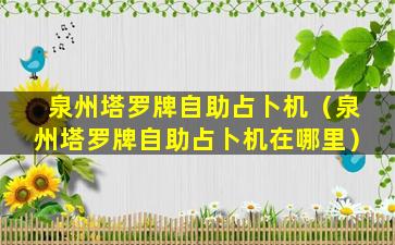 泉州塔罗牌自助占卜机（泉州塔罗牌自助占卜机在哪里）