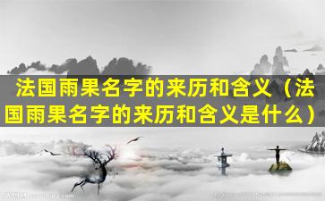 法国雨果名字的来历和含义（法国雨果名字的来历和含义是什么）