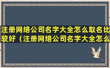 注册网络公司名字大全怎么取名比较好（注册网络公司名字大全怎么取名比较好呢）