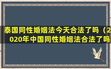 泰国同性婚姻法今天合法了吗（2020年中国同性婚姻法合法了吗）