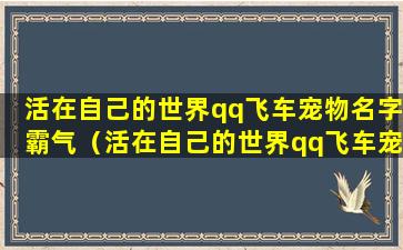 活在自己的世界qq飞车宠物名字霸气（活在自己的世界qq飞车宠物名字霸气女）