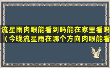 流星雨肉眼能看到吗能在家里看吗（今晚流星雨在哪个方向肉眼能看到吗）