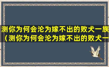 测你为何会沦为嫁不出的败犬一族（测你为何会沦为嫁不出的败犬一族的人）