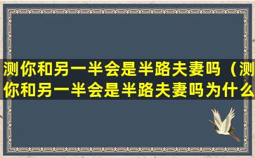 测你和另一半会是半路夫妻吗（测你和另一半会是半路夫妻吗为什么）