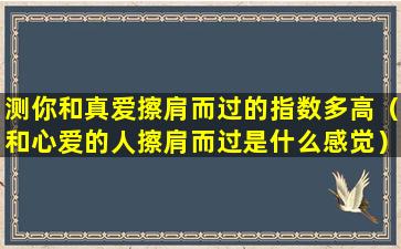 测你和真爱擦肩而过的指数多高（和心爱的人擦肩而过是什么感觉）