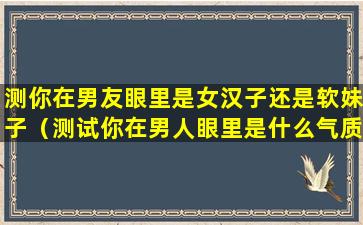 测你在男友眼里是女汉子还是软妹子（测试你在男人眼里是什么气质）