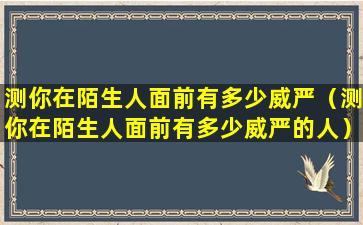 测你在陌生人面前有多少威严（测你在陌生人面前有多少威严的人）