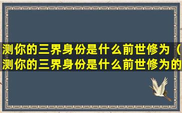 测你的三界身份是什么前世修为（测你的三界身份是什么前世修为的人）