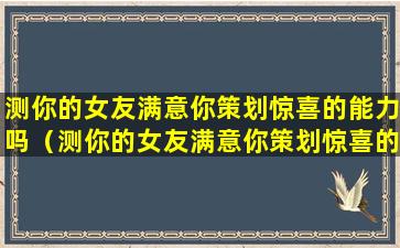 测你的女友满意你策划惊喜的能力吗（测你的女友满意你策划惊喜的能力吗怎么回答）