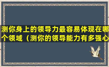 测你身上的领导力最容易体现在哪个领域（测你的领导能力有多强心理测试）