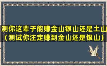 测你这辈子能赚金山银山还是土山（测试你注定赚到金山还是银山）