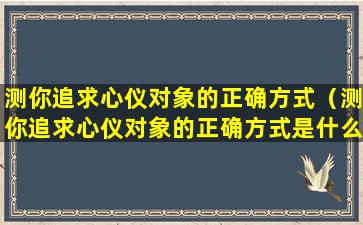 测你追求心仪对象的正确方式（测你追求心仪对象的正确方式是什么）