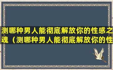 测哪种男人能彻底解放你的性感之魂（测哪种男人能彻底解放你的性感之魂呢）