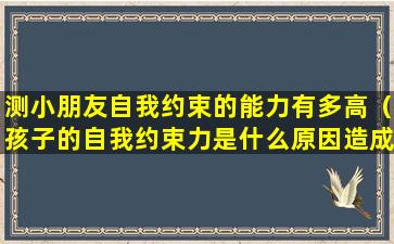 测小朋友自我约束的能力有多高（孩子的自我约束力是什么原因造成的）