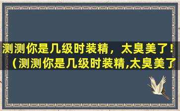 测测你是几级时装精，太臭美了！（测测你是几级时装精,太臭美了!）