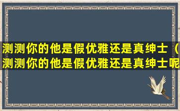 测测你的他是假优雅还是真绅士（测测你的他是假优雅还是真绅士呢）