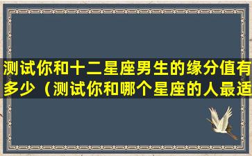 测试你和十二星座男生的缘分值有多少（测试你和哪个星座的人最适合）