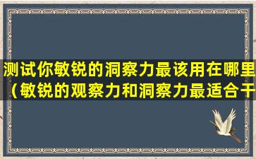 测试你敏锐的洞察力最该用在哪里（敏锐的观察力和洞察力最适合干什么）