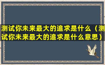 测试你未来最大的追求是什么（测试你未来最大的追求是什么意思）