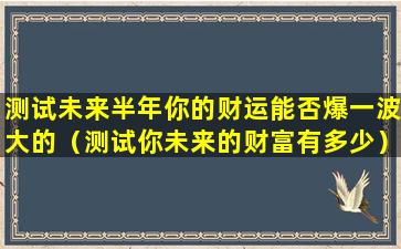 测试未来半年你的财运能否爆一波大的（测试你未来的财富有多少）