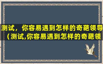 测试，你容易遇到怎样的奇葩领导（测试,你容易遇到怎样的奇葩领导者）