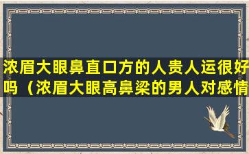 浓眉大眼鼻直口方的人贵人运很好吗（浓眉大眼高鼻梁的男人对感情怎么样）