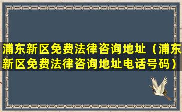 浦东新区免费法律咨询地址（浦东新区免费法律咨询地址电话号码）