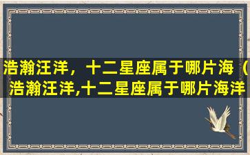 浩瀚汪洋，十二星座属于哪片海（浩瀚汪洋,十二星座属于哪片海洋中的）