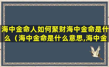 海中金命人如何聚财海中金命是什么（海中金命是什么意思,海中金命好不好）