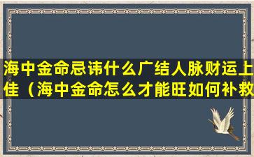 海中金命忌讳什么广结人脉财运上佳（海中金命怎么才能旺如何补救）