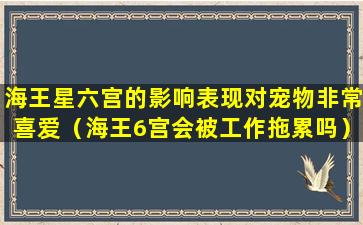 海王星六宫的影响表现对宠物非常喜爱（海王6宫会被工作拖累吗）