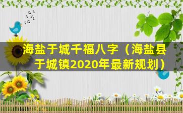 海盐于城千福八字（海盐县于城镇2020年最新规划）