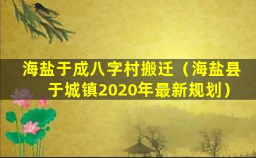 海盐于成八字村搬迁（海盐县于城镇2020年最新规划）