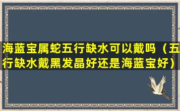 海蓝宝属蛇五行缺水可以戴吗（五行缺水戴黑发晶好还是海蓝宝好）