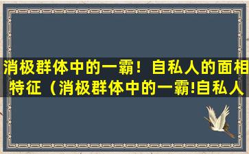 消极群体中的一霸！自私人的面相特征（消极群体中的一霸!自私人的面相特征）