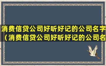 消费信贷公司好听好记的公司名字（消费信贷公司好听好记的公司名字有那些）