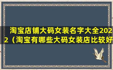 淘宝店铺大码女装名字大全2022（淘宝有哪些大码女装店比较好的）