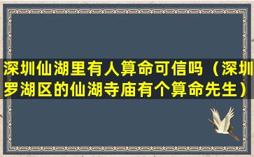 深圳仙湖里有人算命可信吗（深圳罗湖区的仙湖寺庙有个算命先生）