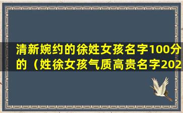 清新婉约的徐姓女孩名字100分的（姓徐女孩气质高贵名字2020）