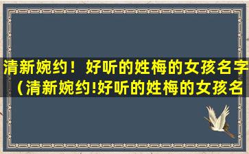 清新婉约！好听的姓梅的女孩名字（清新婉约!好听的姓梅的女孩名字）