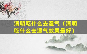 清明吃什么去湿气（清明吃什么去湿气效果最好）